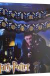 Harry Potter İyi ki Doğdun Banner