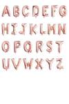 34İNC HARF FOLYO SET 22 HARF BRONZE