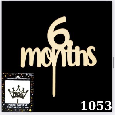 6 Months Gold Pleksi Pasta Süsü