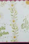 MISIR KUTUSU PAPATYA 8 Lİ