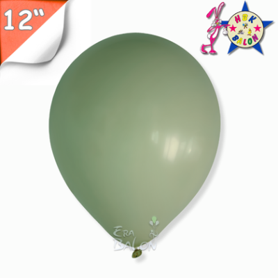Pastel 12" Balon Hbk Okaliptus