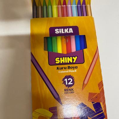 TAM BOY KURU BOYA SHINY 12 ADET